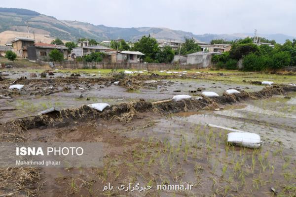 نوروزی: دولت برای ساخت كانال انحراف مسیر سیل در گلستان اقدام نماید