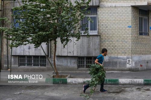 رگبار و وزش باد شدید در نقاط مختلف کشور