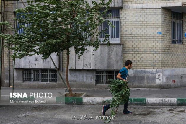 رگبار و وزش باد شدید در نقاط مختلف کشور
