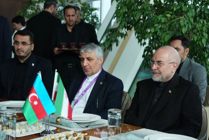 اجلاس PUIC می تواند انسجام کشورهای اسلامی را تقویت کند
