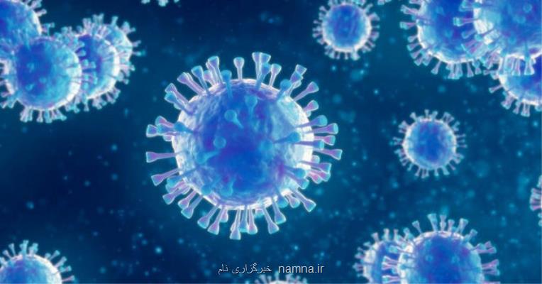 نجفی: مختصات جغرافیایی ادامه بیماری را پیش بینی نماییم